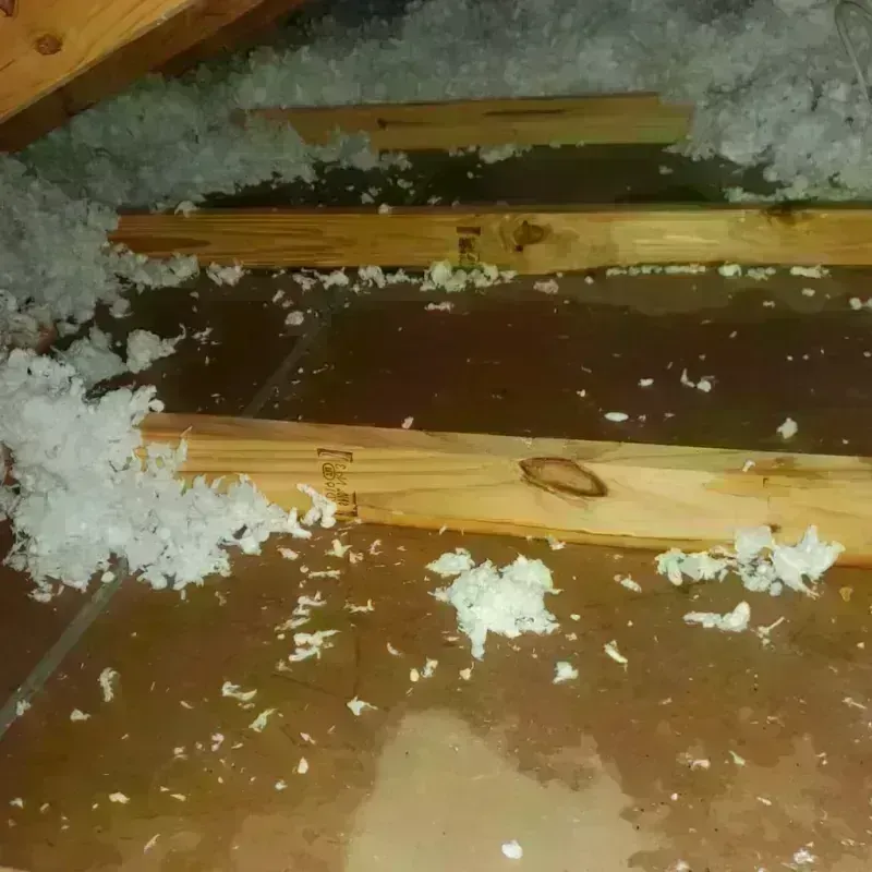 Attic Water Damage in Yaurel, PR